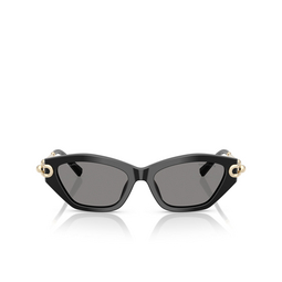 Gafas de sol Tiffany TF4231U 800181 black