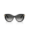 Tiffany TF4232 Sunglasses 80013C black - product thumbnail 1/4