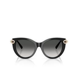 Tiffany TF4232 Sunglasses 80013C black