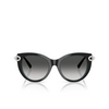 Occhiali da sole Tiffany TF4232 80553C black on tiffany blue - anteprima prodotto 1/4