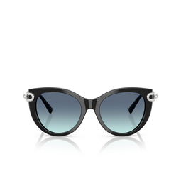 Tiffany TF4232 Sunglasses 83429S black
