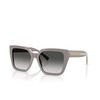 Lunettes de soleil Tiffany TF4235 84013C chocolate truffle - Vignette du produit 2/4