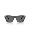 Versace VE2272 Sunglasses 108/87 havana - product thumbnail 1/4