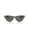 Versace VE2273 Sunglasses 108/87 havana - product thumbnail 1/4