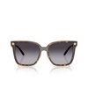 Versace VE2278D Sunglasses 108/8G havana - product thumbnail 1/4