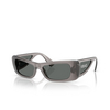 Versace VE4481 Sunglasses 550287 grey glitter transparent - product thumbnail 2/4