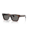 Occhiali da sole Versace VE4486 550981 havana - anteprima prodotto 2/4